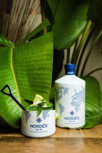 Sorbetto Nordés Gin 1