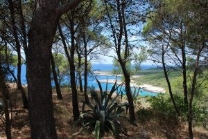 spiagge italiane Instagram Porto Selvaggio