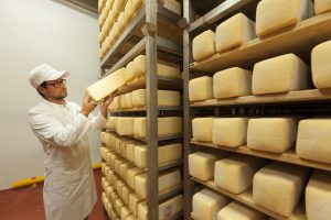 Caseificio formaggi
