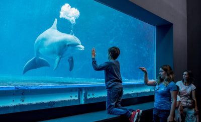 Acquario di Genova ph press 2