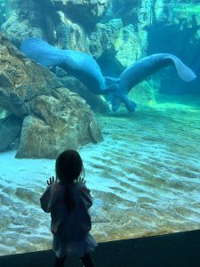 Acquario di Genova ph press 5