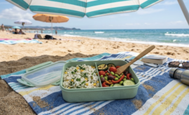 Schiscetta plant-based ph AI